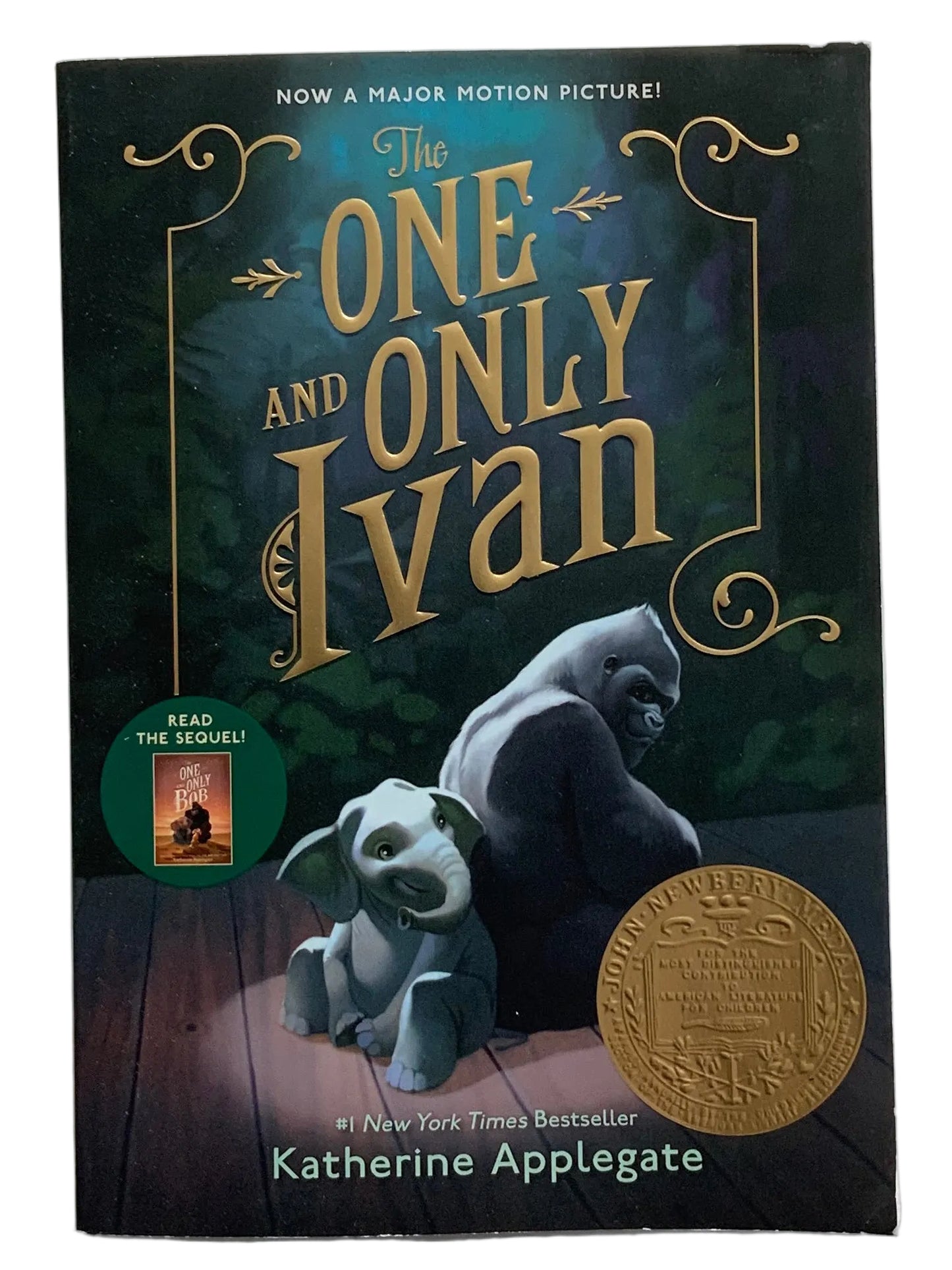 The One and Only Ivan Book